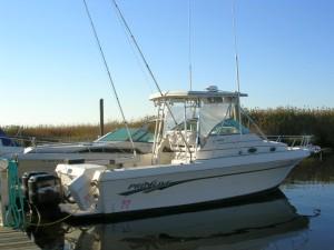 Marine Surveys by The Boat Doc Marine Surveys, LLC, William E. Hymans, Ph.D., SAMS� AMS�, Pennington & Stone Harbor, New Jersey, USA